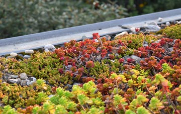 the cost of Llanerfyl green roof installation