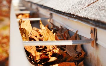 Llanerfyl gutter cleaning companies