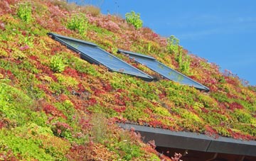 Llanerfyl living roof systems