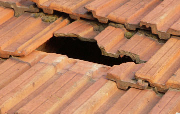 roof repair Llanerfyl, Powys